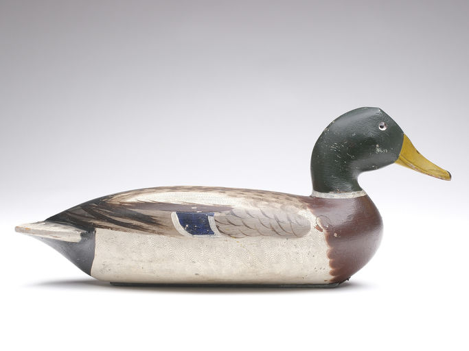 Robert Elliston – Mallard Drake – 2024