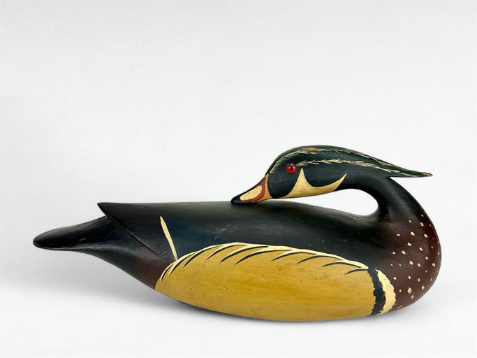 Bob White – Preening Wood Duck Drake – 2024