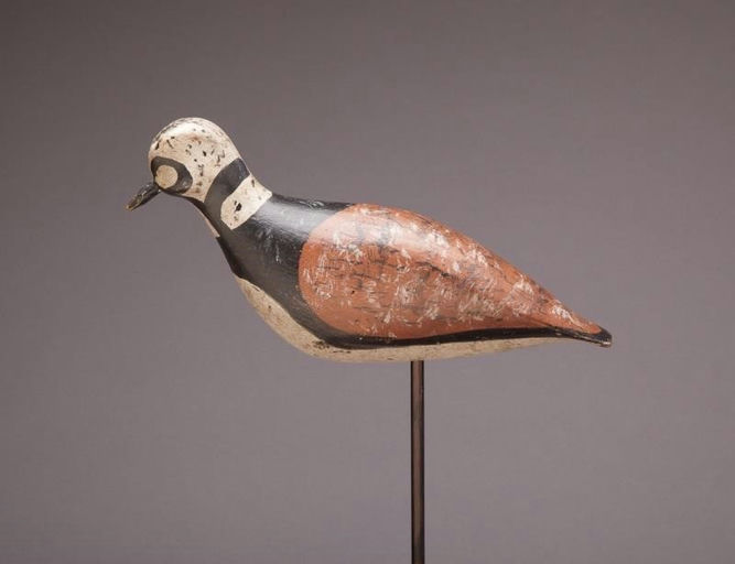 John Horn – Ruddy Turnstone – 2013