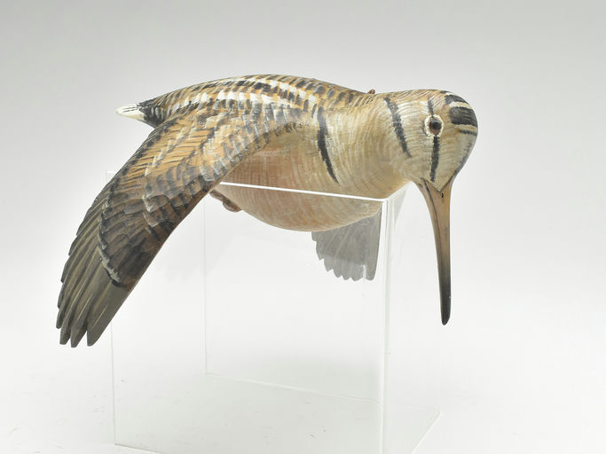 Mike Borrett – Woodcock – 2023