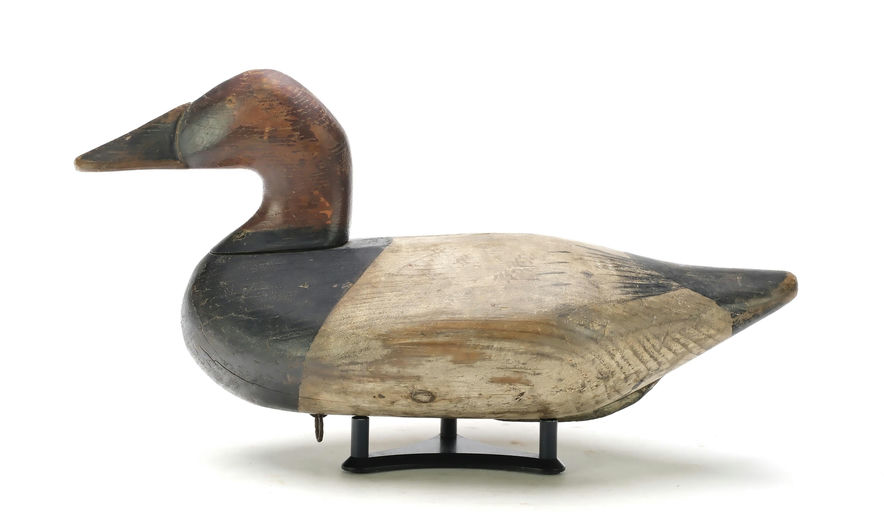 Bob McGaw – Canvasback – 2025