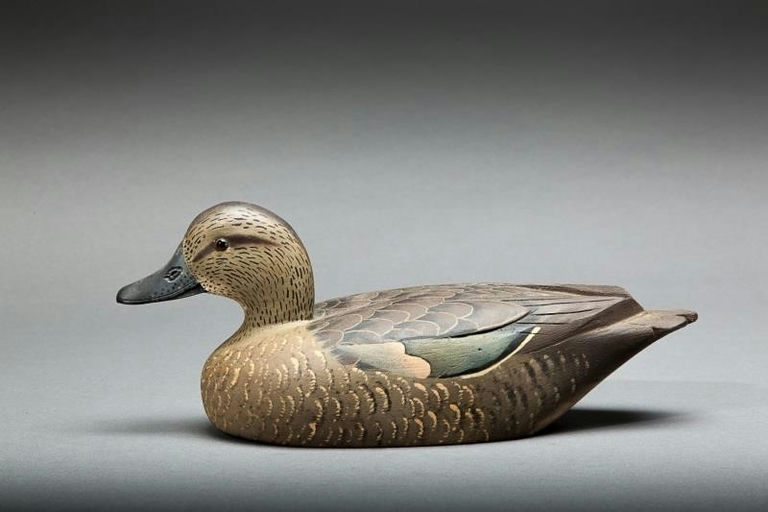 David W. Nichol – Green-Winged Teal Hen – 2014