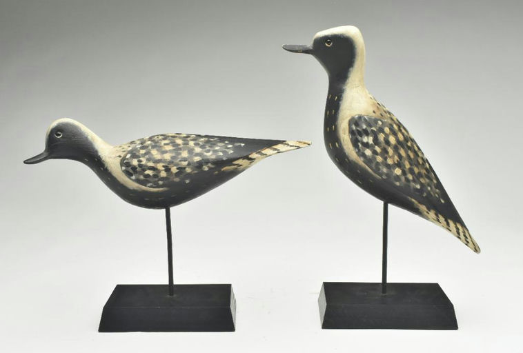 Pete Peterson – Pair of Black Bellied Plover – 2023