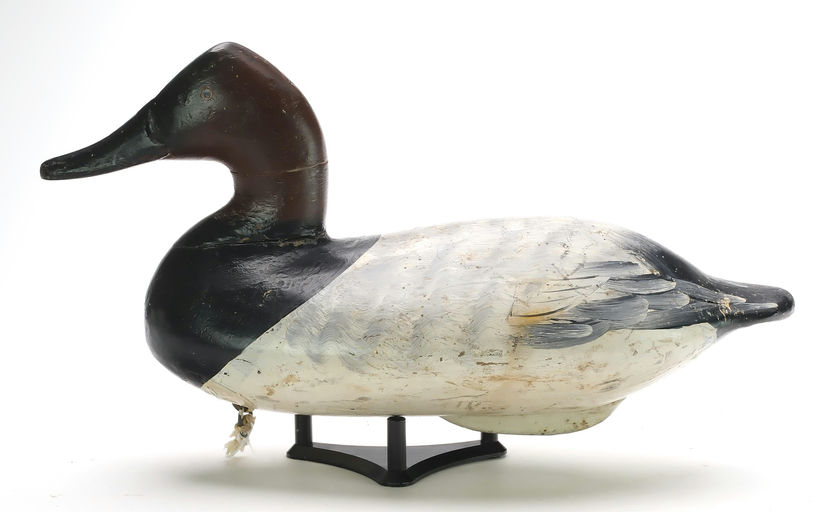 William Heverin – Canvasback – 2024