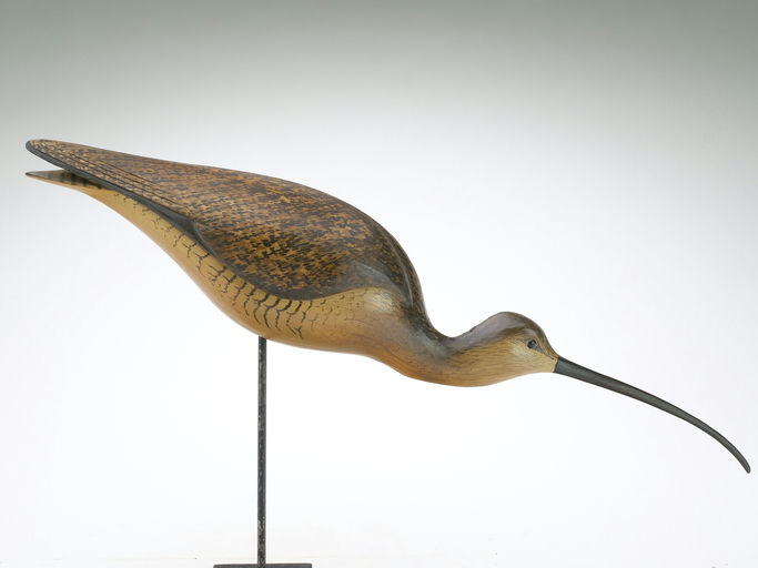 Bill Gibian – Curlew – 2025