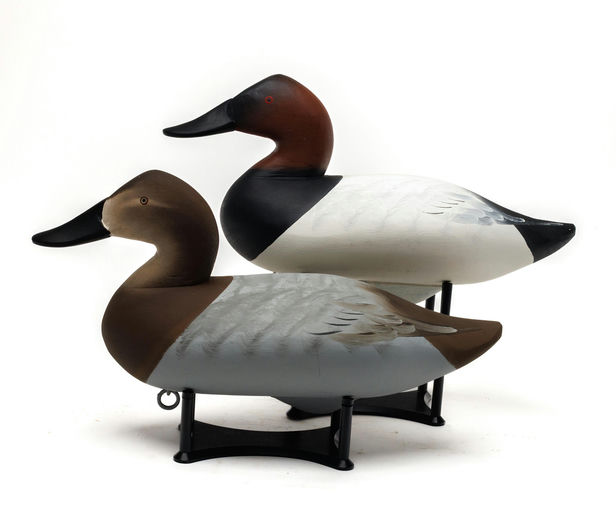 Charlie Joiner – Canvasback – 2026