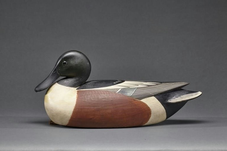 Mark McNair – Shoveler Drake – 2017