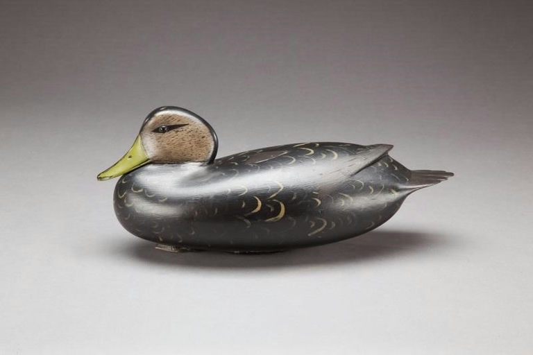William Quinn – Black Duck – 2013