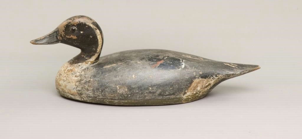 Thomas Chambers – Pintail – 2009