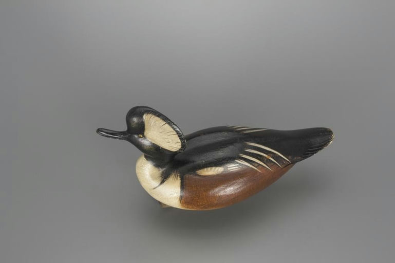 Jim Schmiedlin – Hooded Merganser Drake – 2018