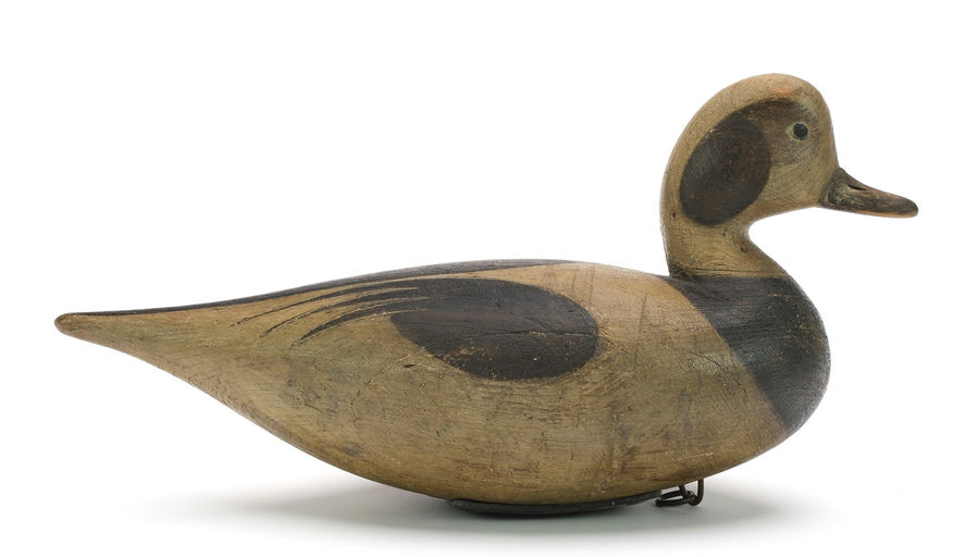 Mark McNair – Longtail duck – 2024