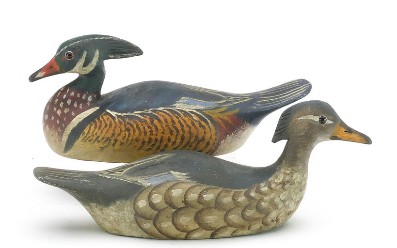 Reggie Birch – Wood Duck – 2024