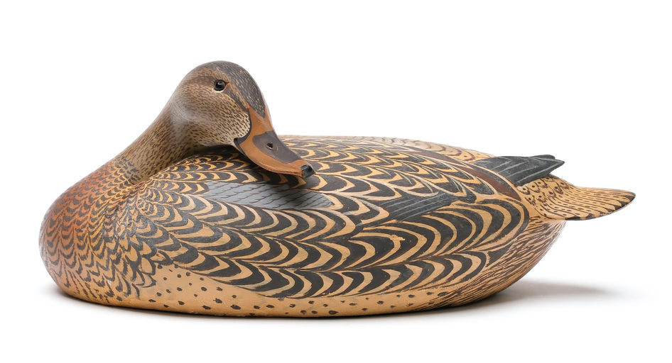 Ward Brothers – Sleeping Mallard – 2025