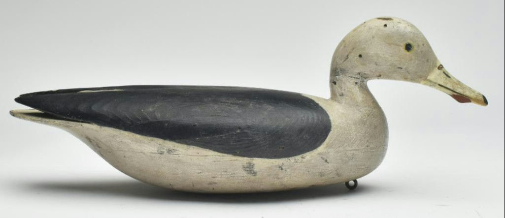 Hurley Conklin – Gull – 2023