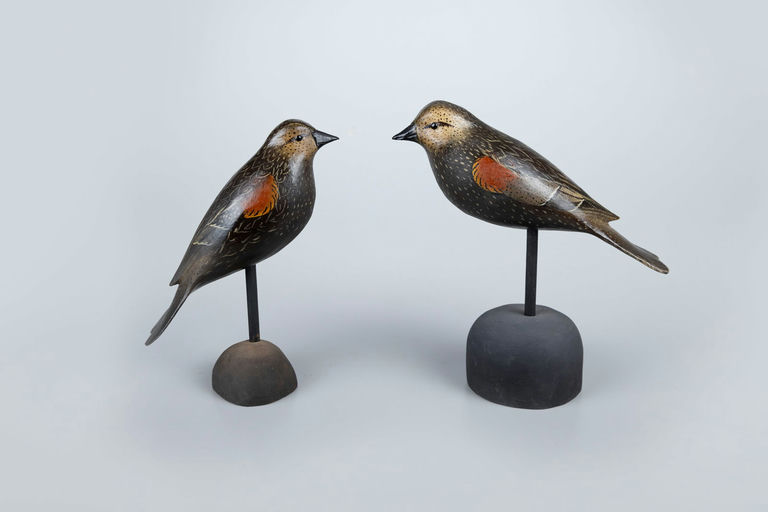 Bob White – Songbird Pair – 2026