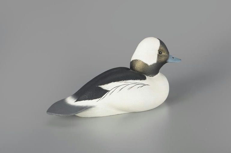 Leo McIntosh – Bufflehead – 2024