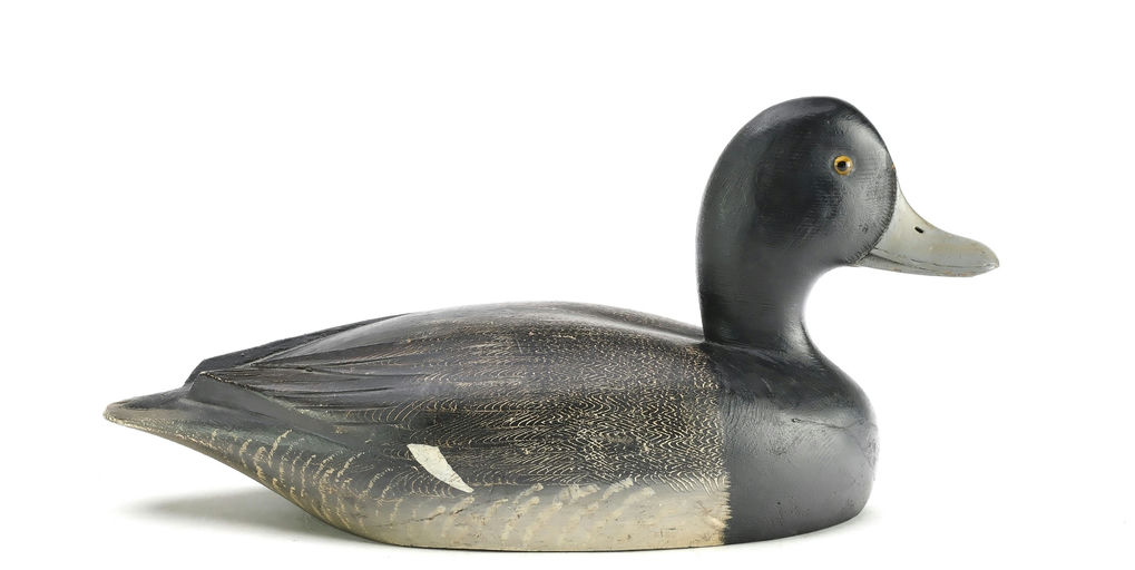 David W. Nichol – Scaup – 2025
