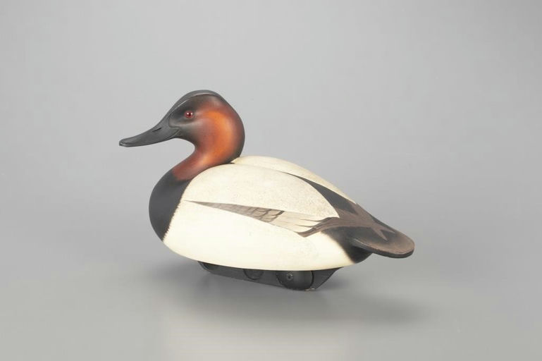 Leo McIntosh – Canvasback – 2023