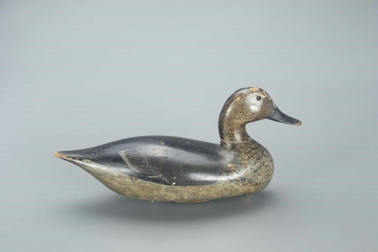 Clark Madera – Pintail Hen – 2022
