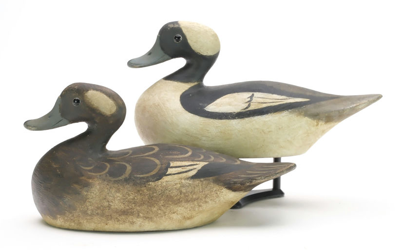 Reggie Birch – Bufflehead – 2024