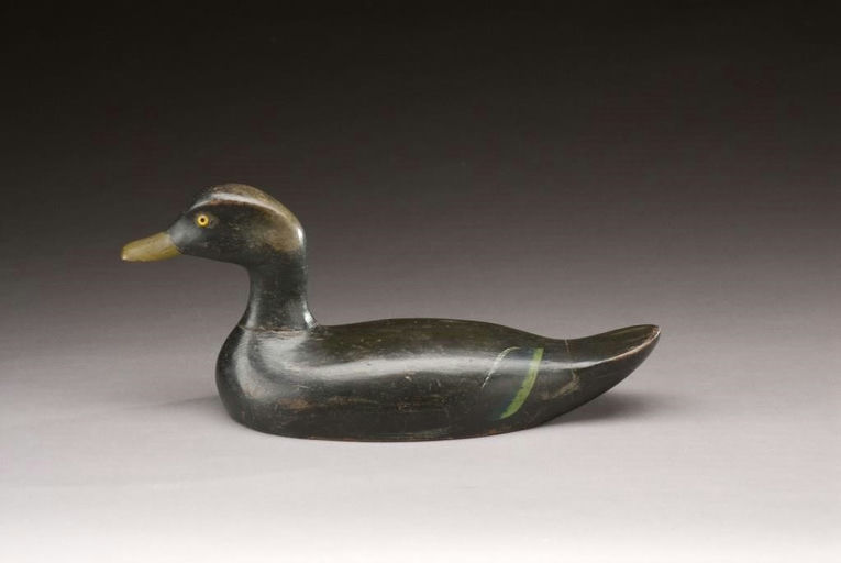 William Burtch – Black Duck – 2009