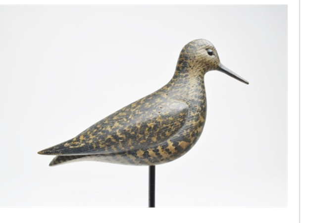Mark McNair – Black Bellied Plover – 2021