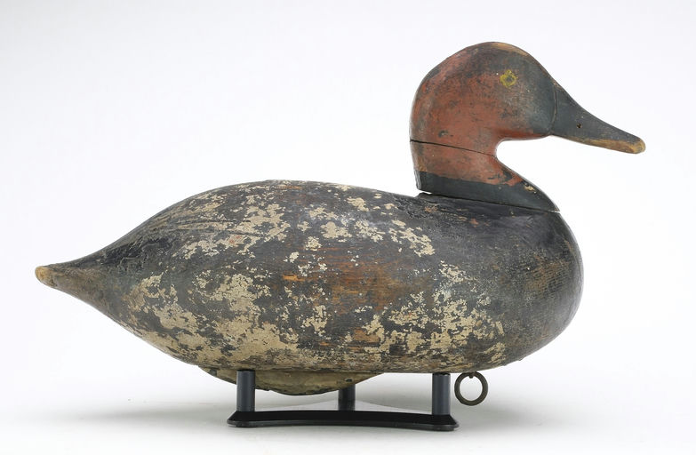 John Daddy Holly – Canvasback – 2024