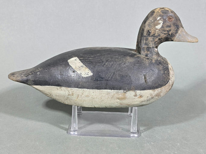 Miles Hancock – Bufflehead – 2026