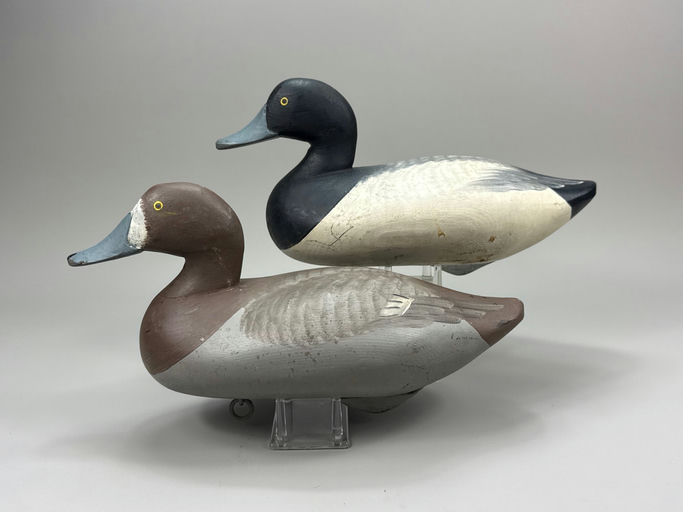 R. Madison Mitchell – Scaup – 2026