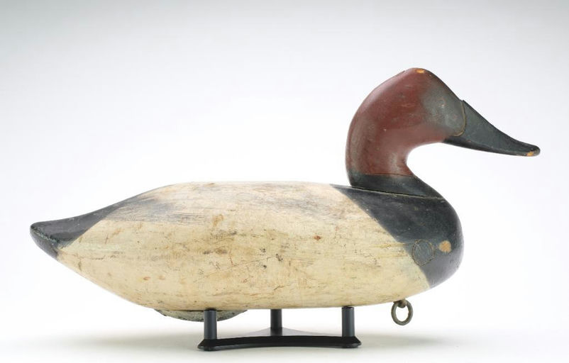 James Currier – Canvasback – 2024