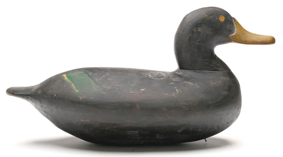 William Heverin — Black Duck
