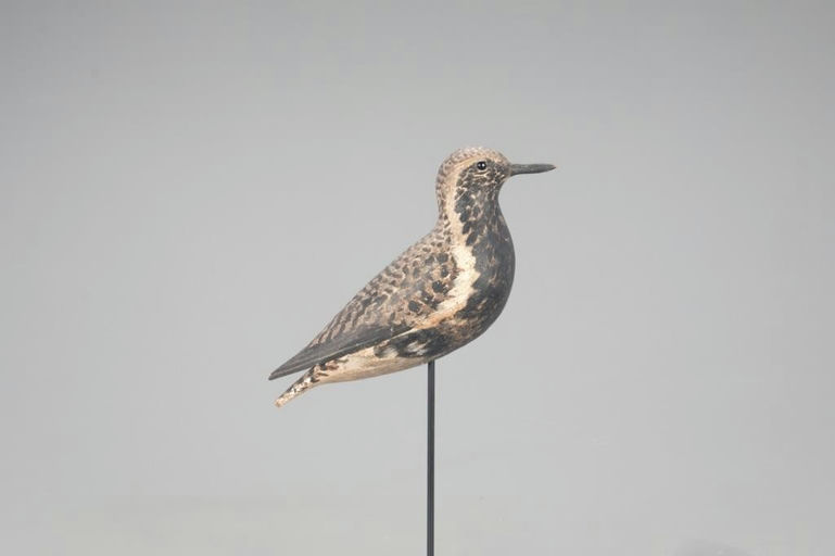 Elmer Crowell – Black-Bellied Plover – 2021