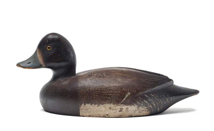 David W. Nichol – Scaup – 2026