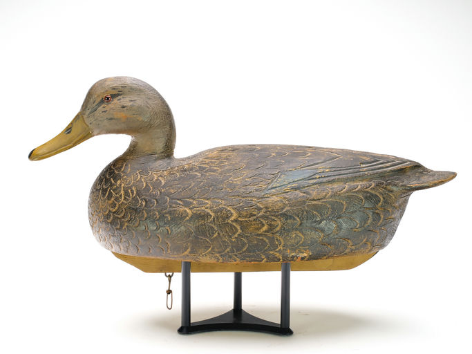 Ben Schmidt – Black Duck – 2025